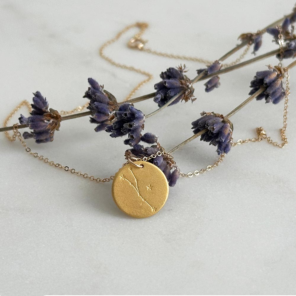 Vermeil Constellation Disc Necklace | Zodiac – E.B. Jewelry Studio